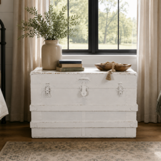 Vintage White Trunk